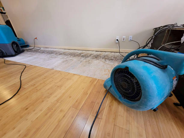 Professional Ceiling Water Damage Repair technician working in Detroit Lakes, MN