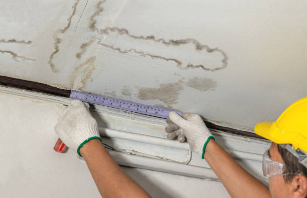 Affordable Ceiling Water Damage Repair solutions in Detroit Lakes, MN
